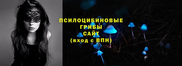 a pvp Алзамай