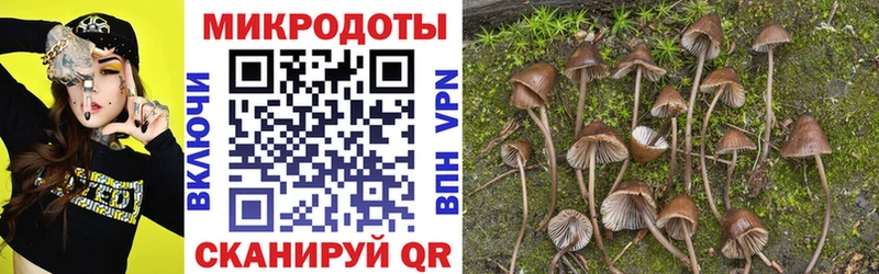 Псилоцибиновые грибы MAGIC MUSHROOMS  Сосновый Бор 